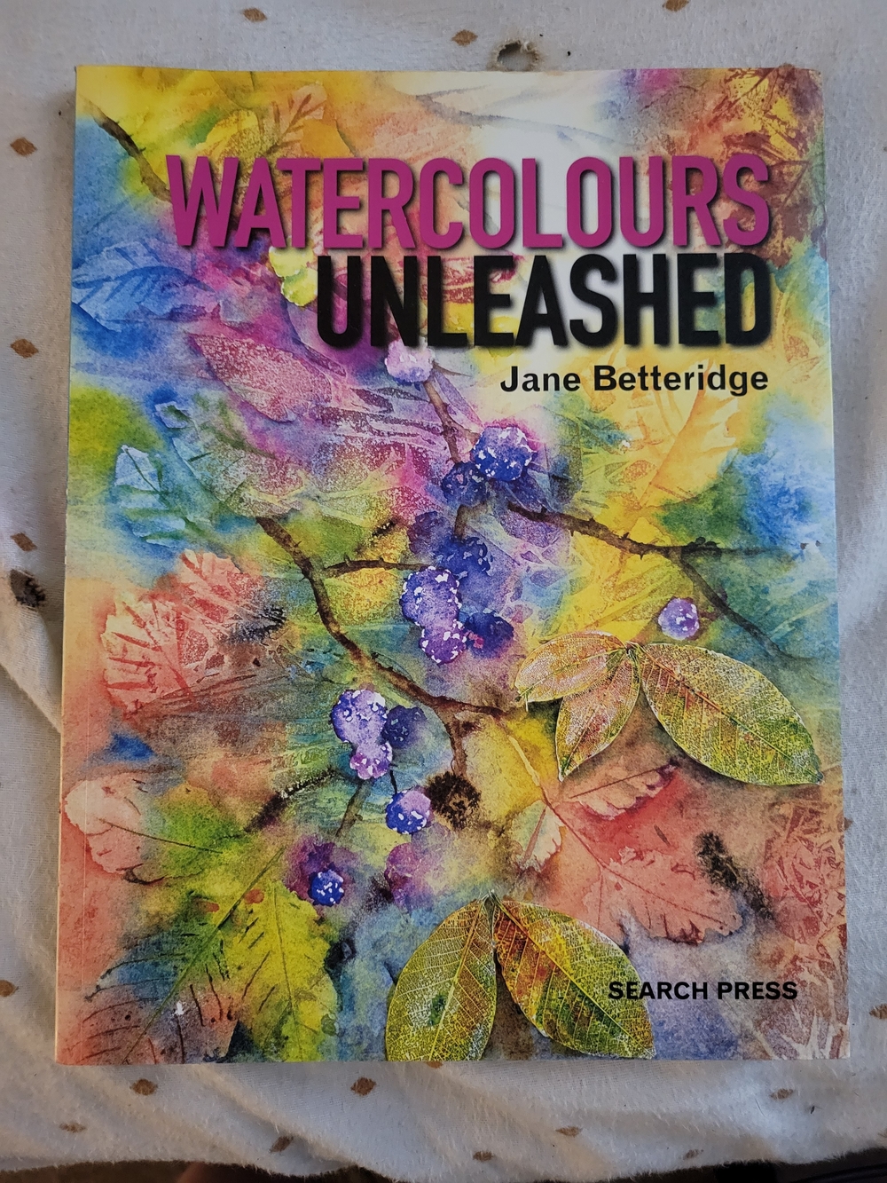 Watercolors Unleashed By Jane Betteridge Paperback